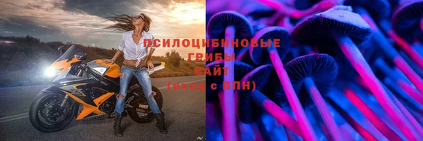 мяу мяу мука Белоозёрский