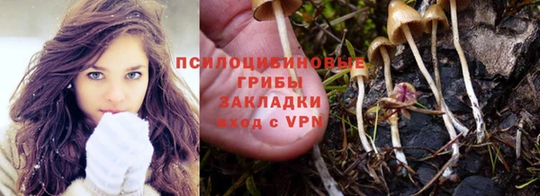 мяу мяу мука Белокуриха