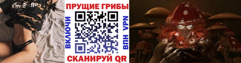 Псилоцибиновые грибы Cubensis  Мариинский Посад 
