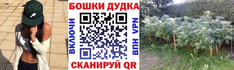 Марихуана семена Мариинский Посад